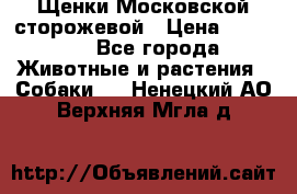 Щенки Московской сторожевой › Цена ­ 35 000 - Все города Животные и растения » Собаки   . Ненецкий АО,Верхняя Мгла д.